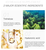 Collagen Hydrating & Moisturizing Mask